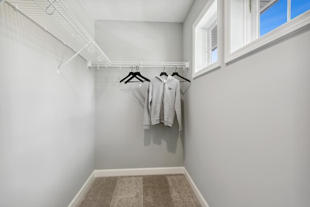 walk in closet featuring carpet