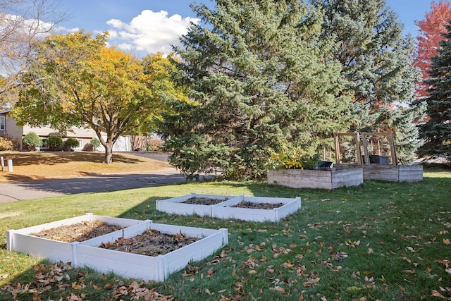 view of yard with a vegetable garden