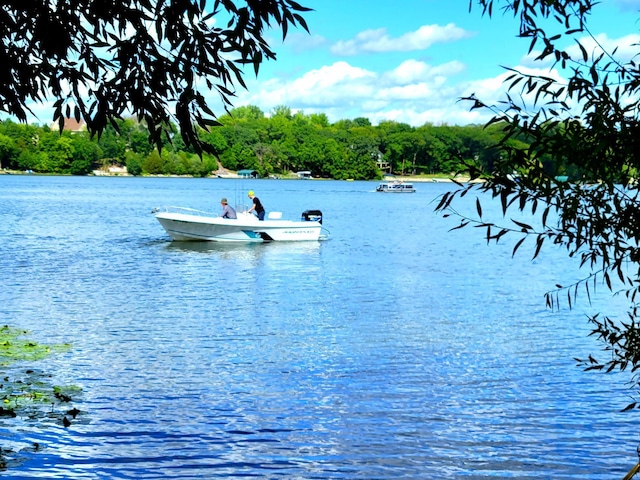 water view featuring a boat dock