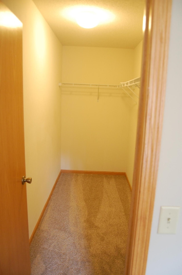 spacious closet with carpet