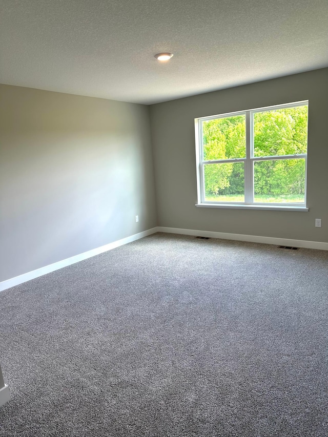 7856 Martin Ave NE, Otsego, MN 55330 - spare room with carpet flooring, baseboards, and a textured ceiling