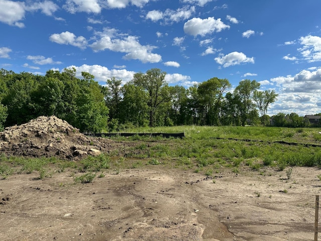 7856 Martin Ave NE, Otsego, MN 55330 - view of nature