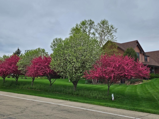 3135 Sherburn Pl SW, Rochester, MN 55902 - view of asphalt street