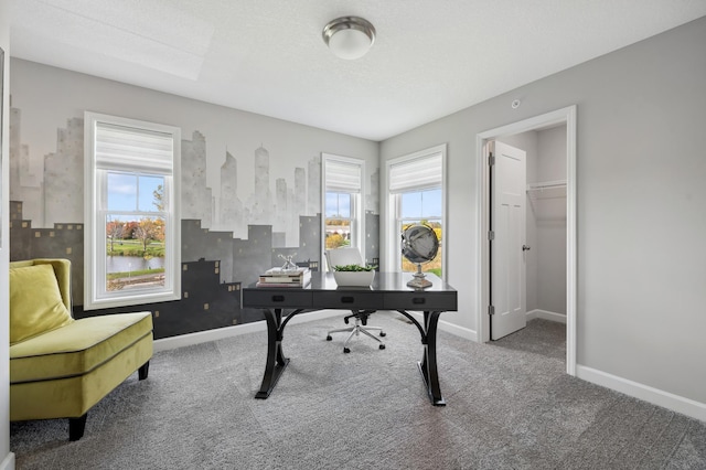 carpeted home office with baseboards and a healthy amount of sunlight