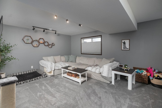 carpeted living area with rail lighting and a textured ceiling