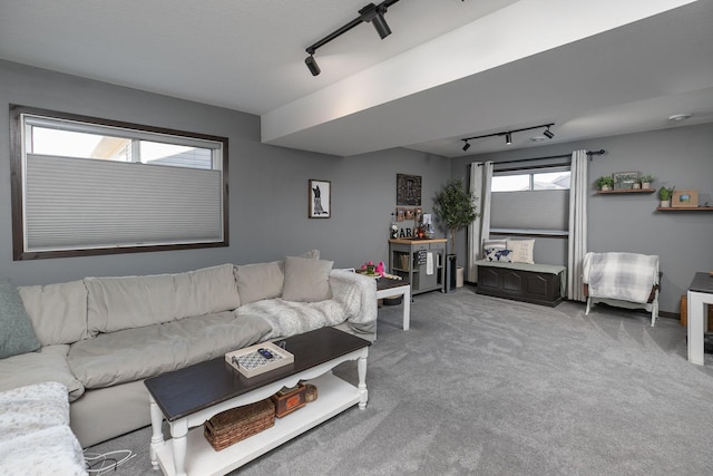 carpeted living room featuring track lighting