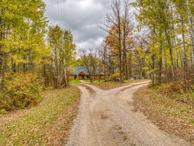 view of road with dirt driveway