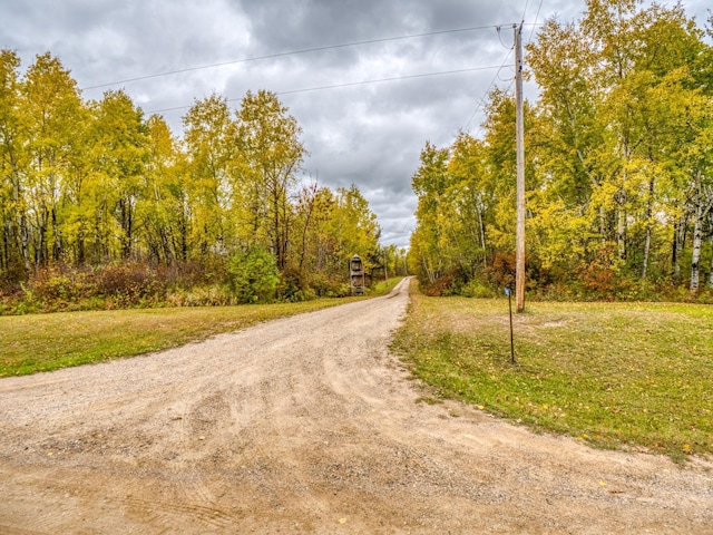 view of street featuring a wooded view