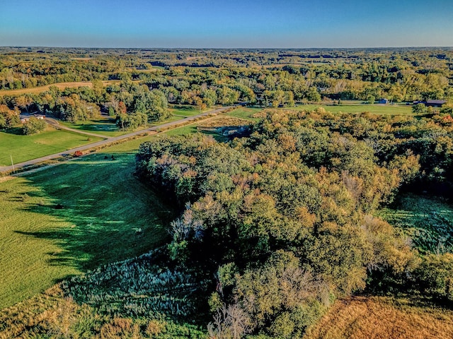 301X Nelson Rd, Independence, MN 55328