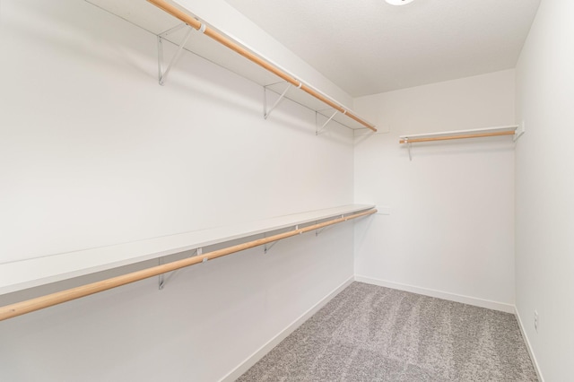 spacious closet with carpet