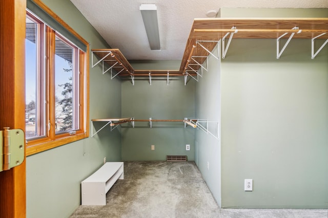 walk in closet with visible vents and carpet floors