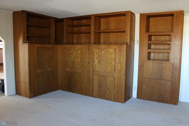 203 4th St, Argusville, ND 58005 - unfurnished bedroom featuring carpet flooring, a closet, a textured ceiling, and arched walkways