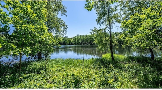 property view of water