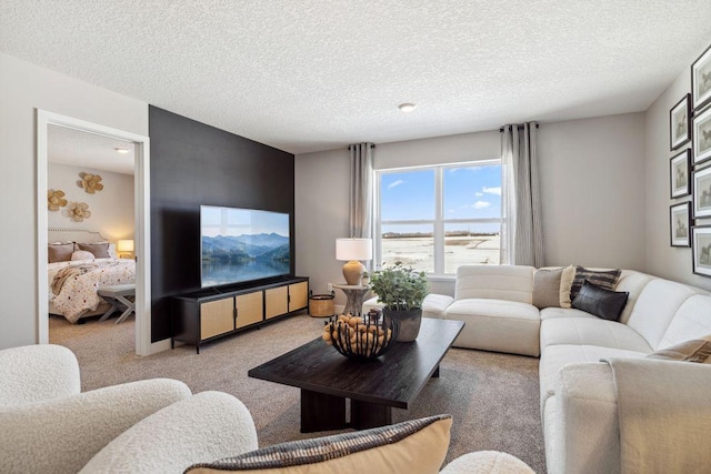 carpeted living room featuring a textured ceiling