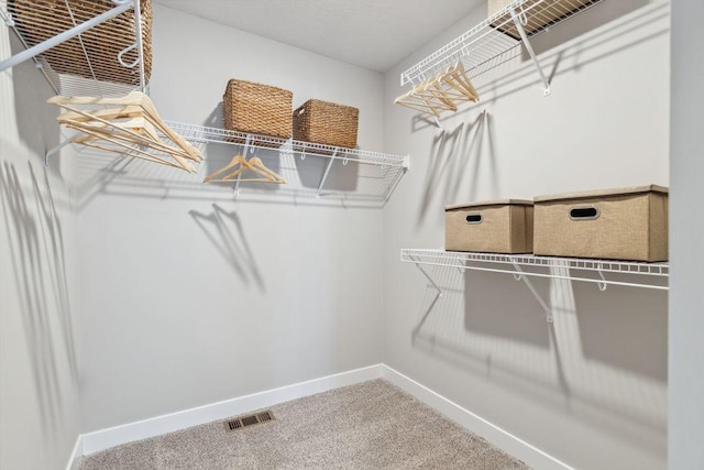 spacious closet with visible vents and carpet floors