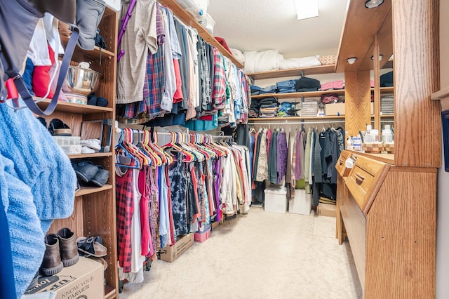 spacious closet featuring carpet flooring