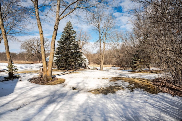 view of yard covered in snow