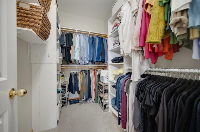 view of walk in closet