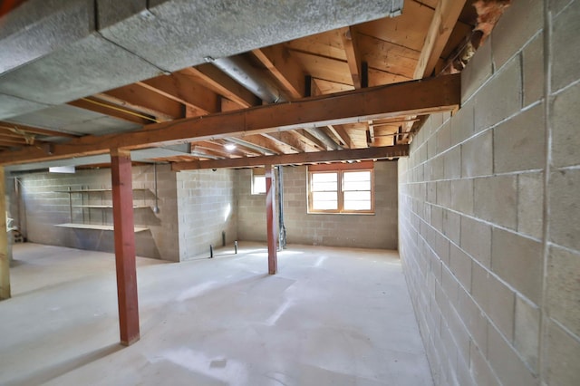 basement featuring concrete block wall