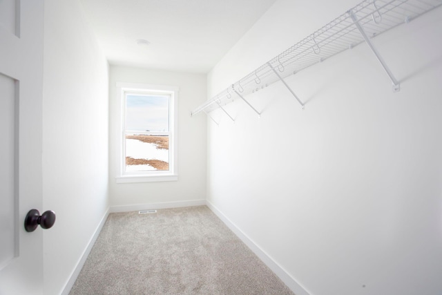 walk in closet with visible vents and carpet flooring