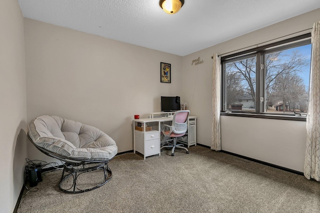 office space with baseboards, carpet floors, and a textured ceiling