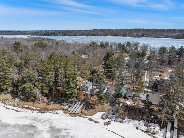 birds eye view of property with a forest view