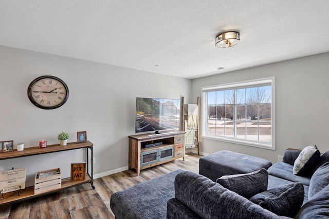 living room featuring wood finished floors, baseboards, and a textured ceiling