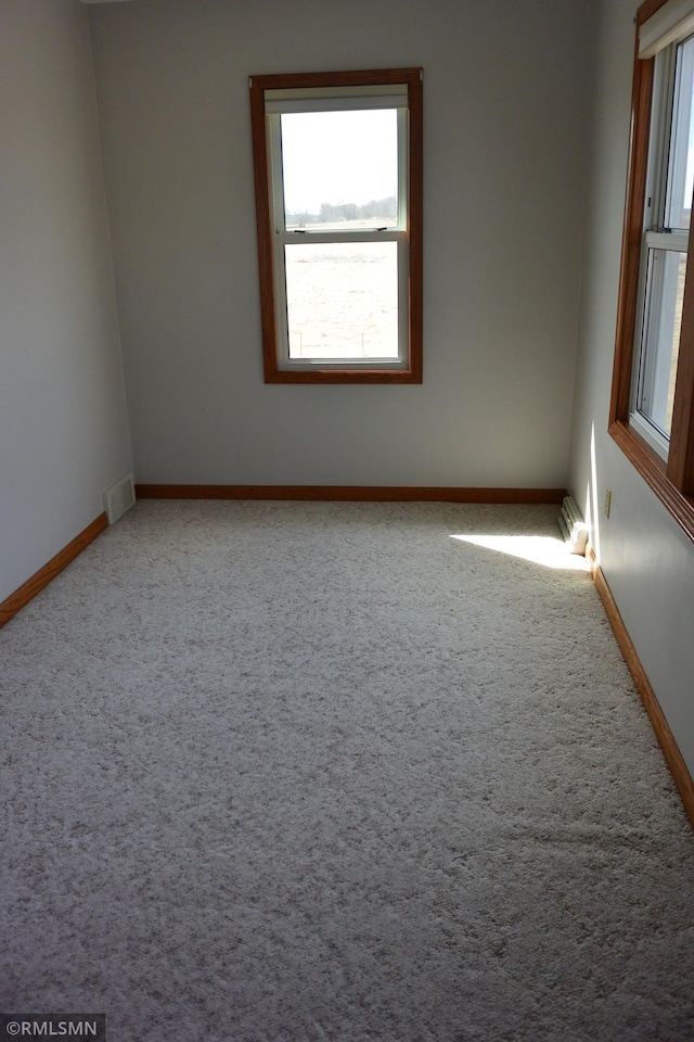 5501 70th St, Glencoe, MN 55336 - carpeted empty room with baseboards