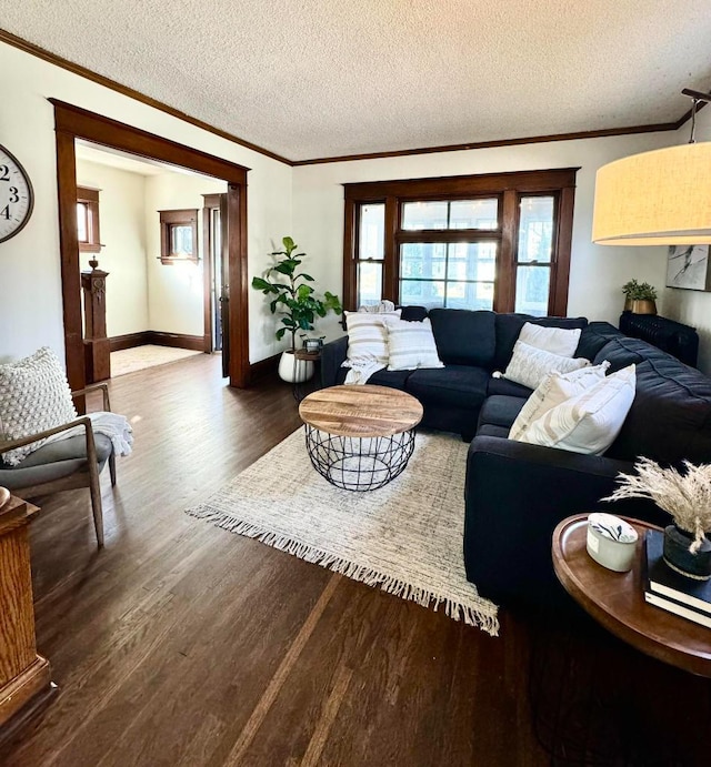 living area featuring a textured ceiling, crown molding, baseboards, and wood finished floors