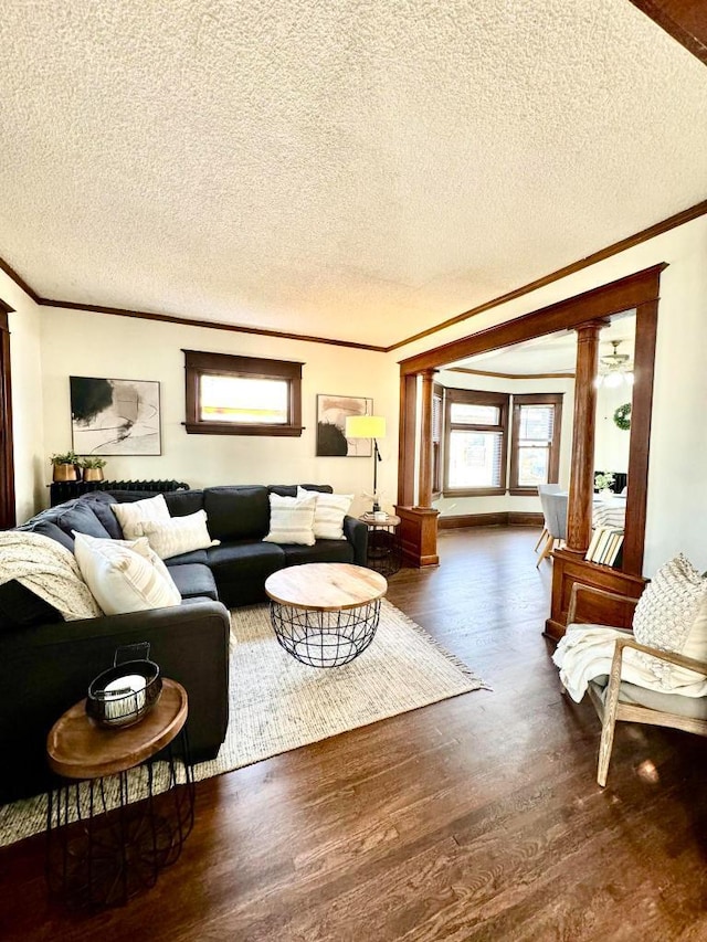 living area with a textured ceiling, wood finished floors, and crown molding