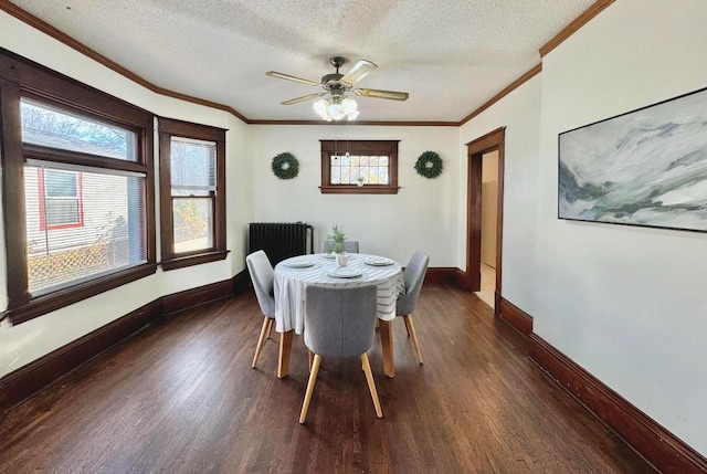 dining room with baseboards, plenty of natural light, radiator, and wood finished floors