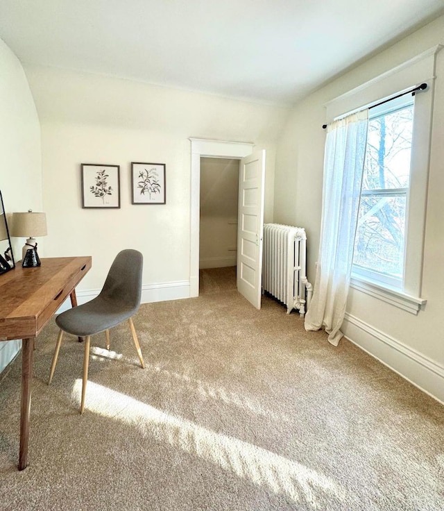 carpeted home office with radiator heating unit and baseboards