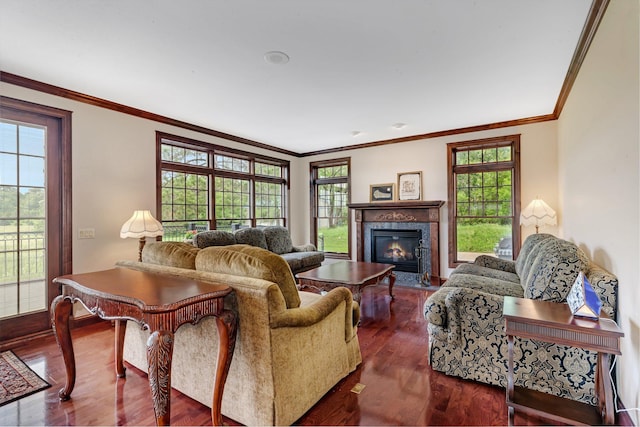 living room featuring a premium fireplace, dark wood finished floors, and ornamental molding