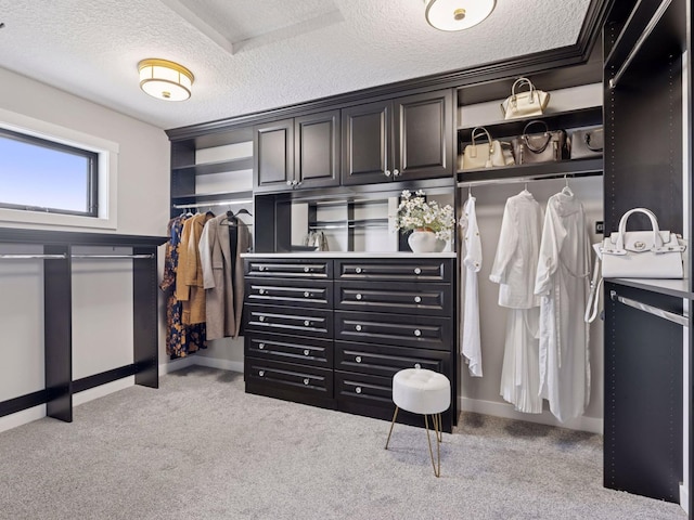 16419 Kiska St NE, Ham Lake, MN 55304 - spacious closet featuring light colored carpet