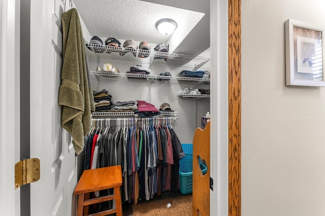 walk in closet featuring carpet floors