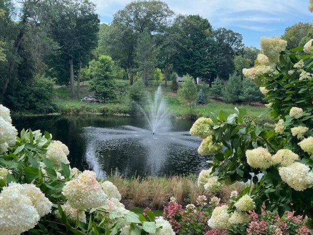 view of water feature