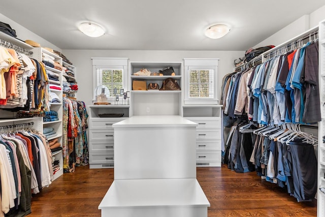 walk in closet with dark wood-style flooring