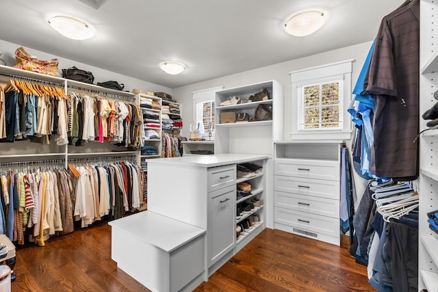 walk in closet with dark wood finished floors