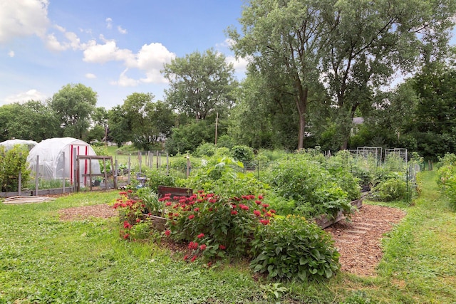 view of yard with an exterior structure, an outdoor structure, and a garden