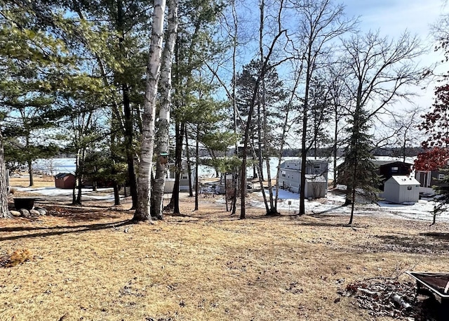 view of yard with an outbuilding and a shed