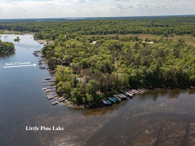 birds eye view of property with a water view and a wooded view