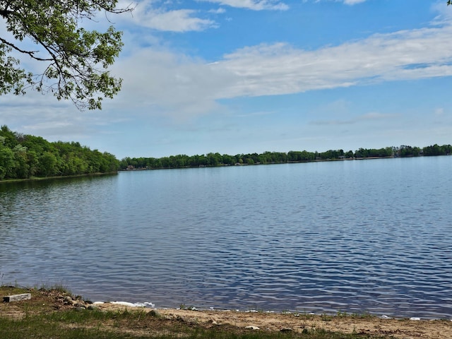 property view of water