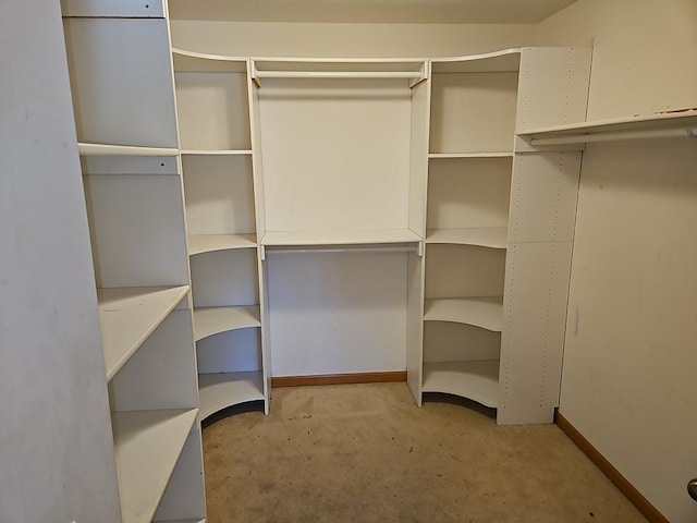 view of spacious closet