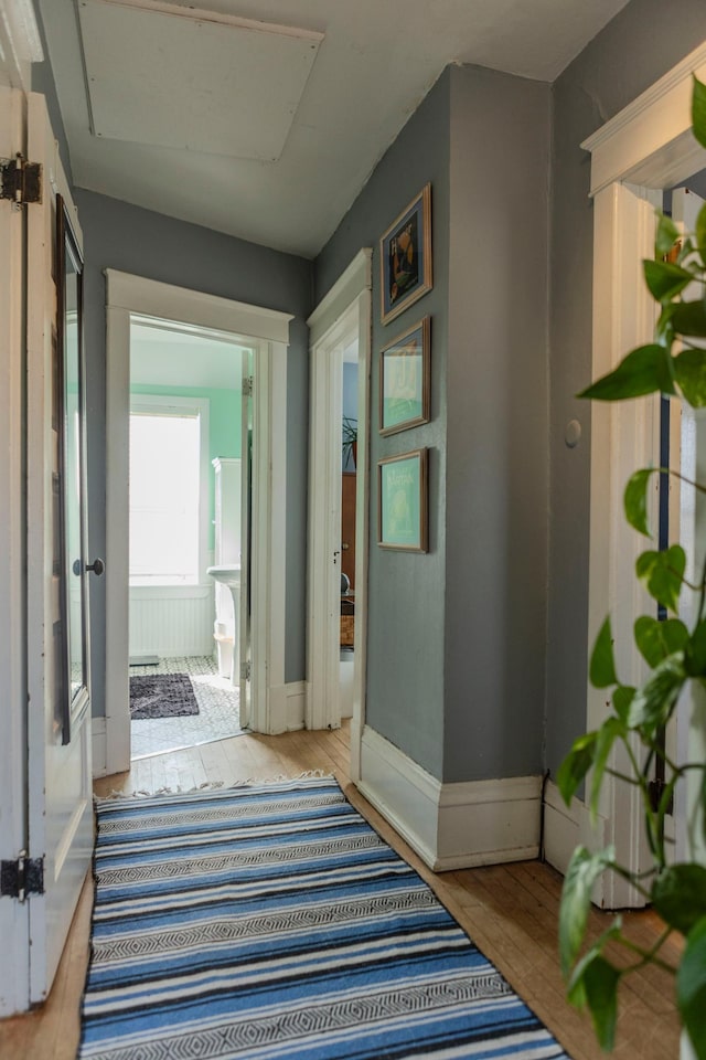 hallway with hardwood / wood-style floors, attic access, and baseboards