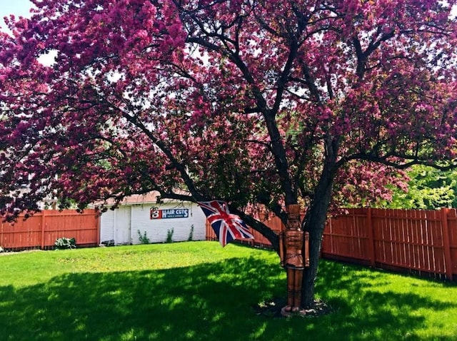 view of yard featuring a fenced backyard