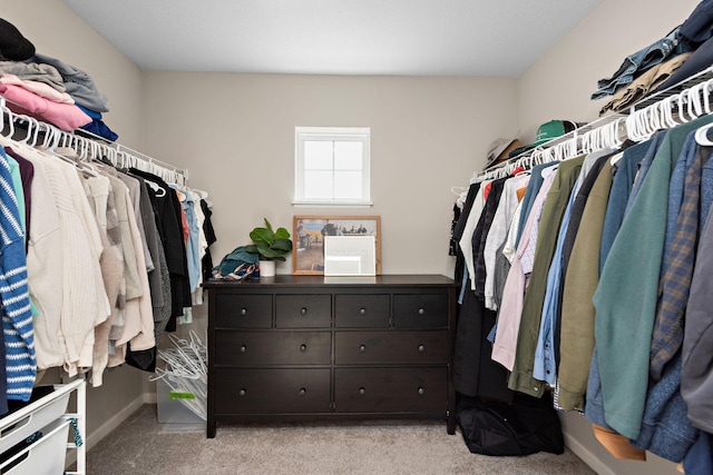 walk in closet with carpet floors