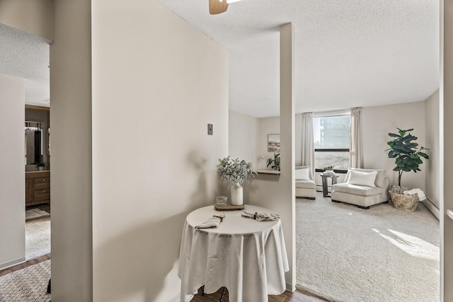 6615 Lake Shore Dr S Unit 515, Richfield, MN 55423 - hall featuring a textured ceiling