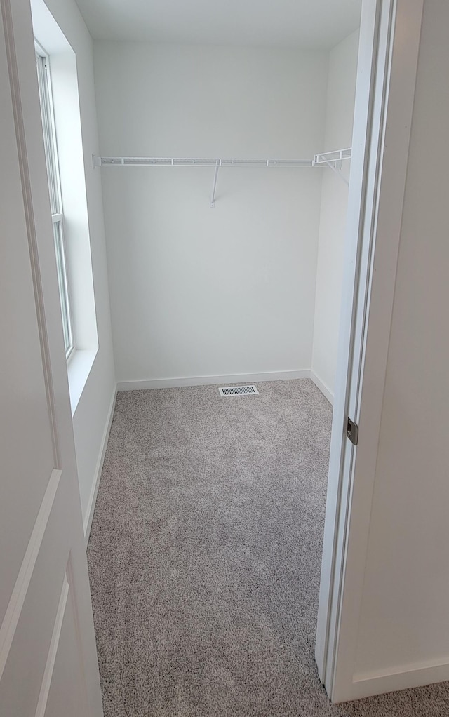 spacious closet with carpet flooring and visible vents