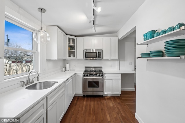 kitchen featuring a sink, dark wood-style floors, appliances with stainless steel finishes, white cabinets, and glass insert cabinets