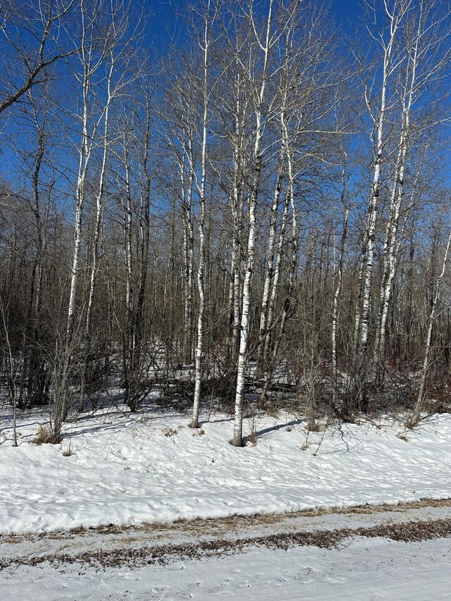 TBD 21st Ave SW, Baudette, MN 56623